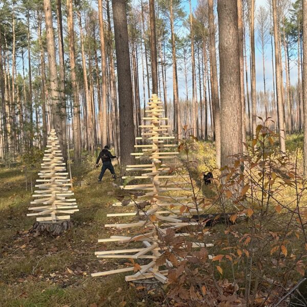 Zwei Franky Tree Holzweihnachtsbäume stehen in einem Waldstück, während im Hintergrund ein Mitglied von Viva la Wald durch den Wald geht.