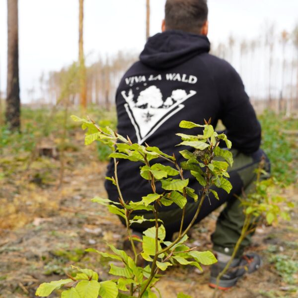 Ein Mitglied von Viva la Wald sitzt in einem wiederaufgeforsteten Waldstück in Beelitz, im Vordergrund ein junger Baumsetzling.